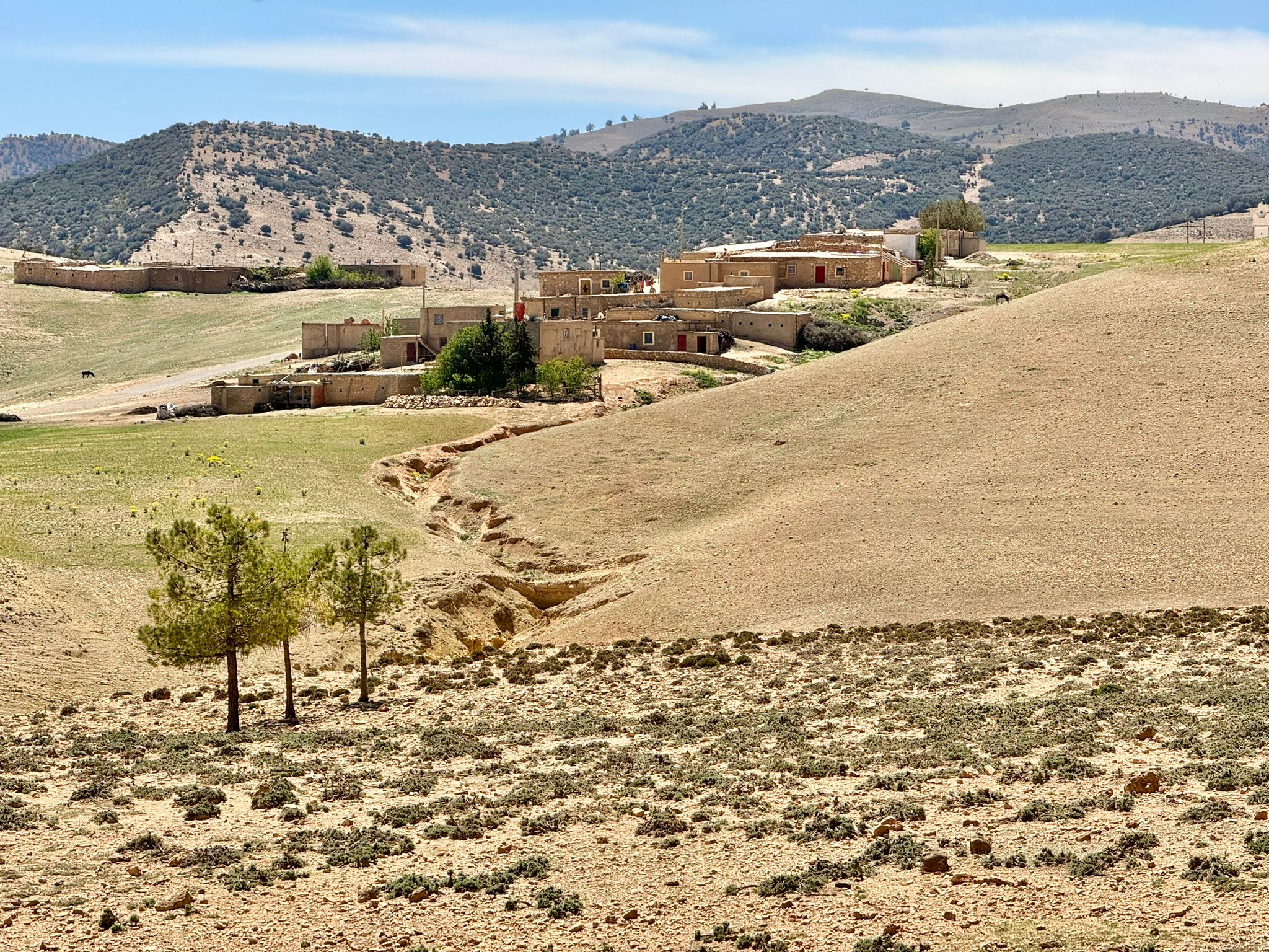 The Allure of Midelt: Morocco's Hidden Gem for Crystal and Mineral Enthusiasts